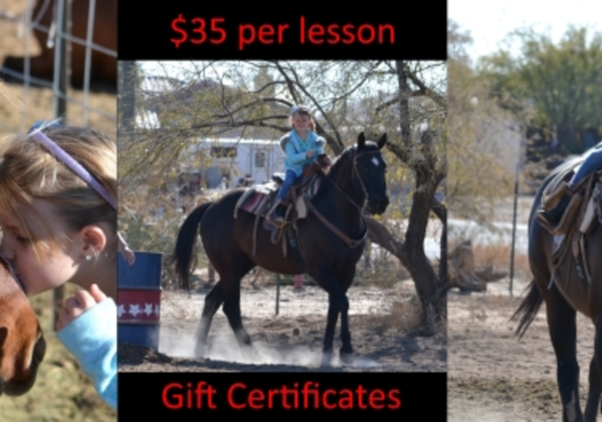 S & J Ranch Riding Lessons | Macaroni KID Casa Grande