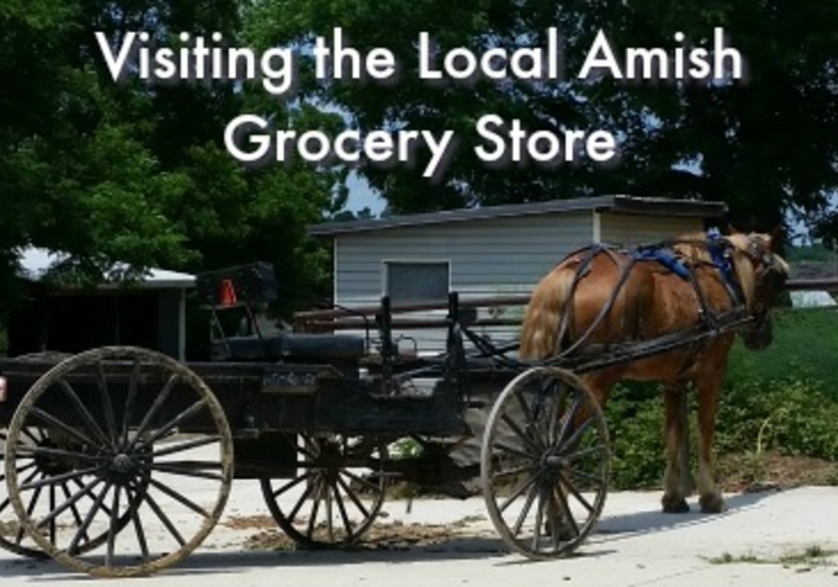 My first visit to the Amish Grocery Store | Macaroni Kid Charles