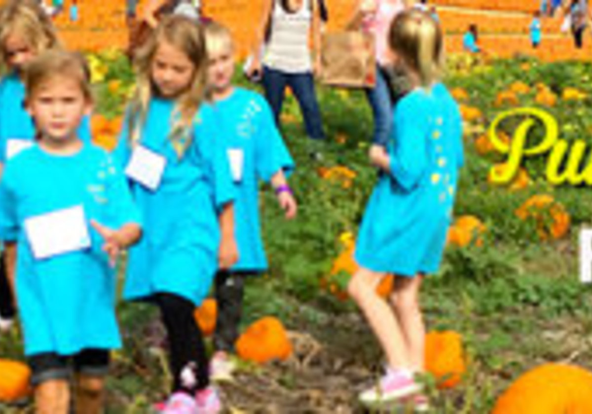 Pumpkin Patch Field Trips Macaroni KID Chino HillsChinoDiamond Bar