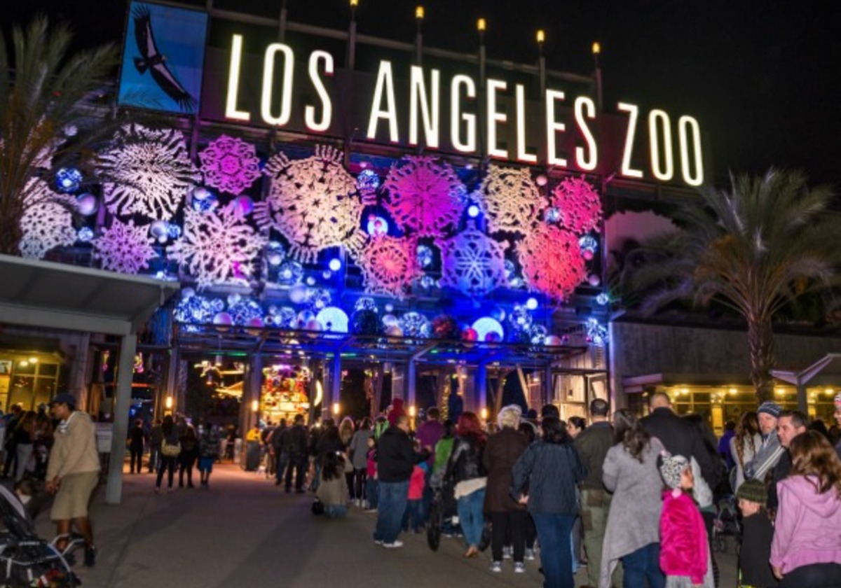 La Zoo Christmas Lights Reviews Shelly Lighting