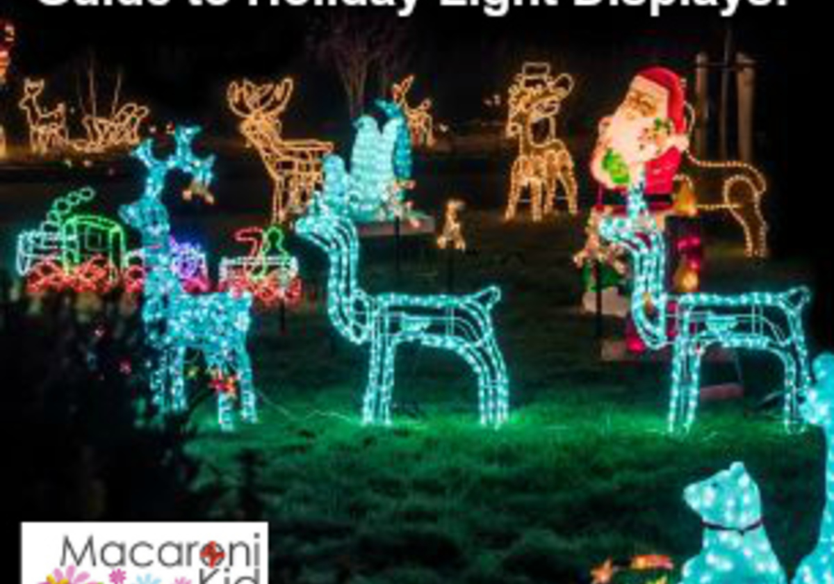 Christmas Lights Danbury Ct 2022 Guide: Holiday Light Displays | Macaroni Kid Greater Danbury