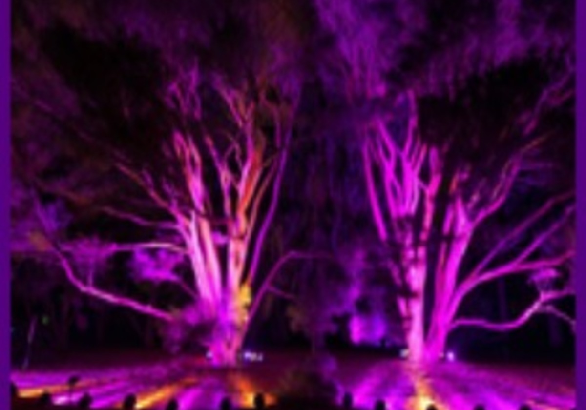 Illumination: Tree Lights At The Morton Arboretum Returns November 18 ...