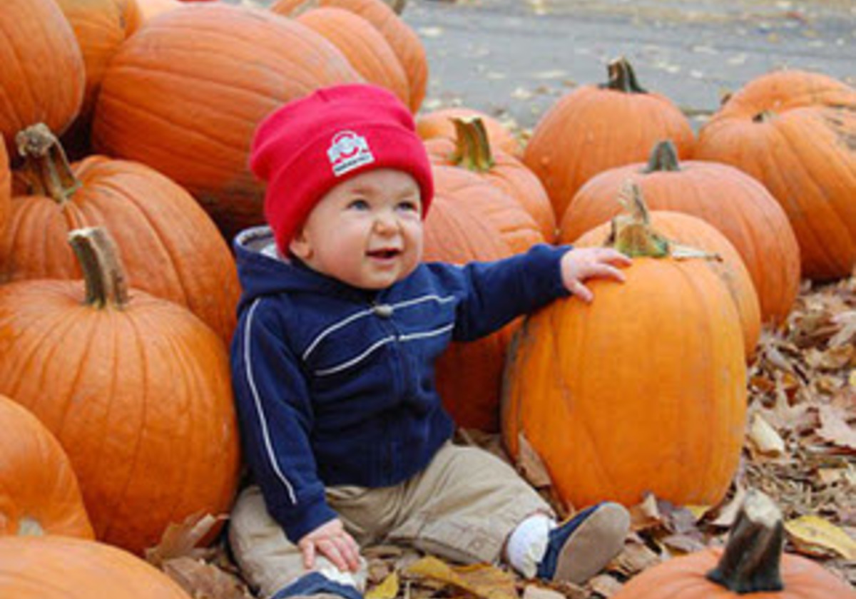 Columbus/Central Ohio Pumpkin Patches | Macaroni KID NE Columbus