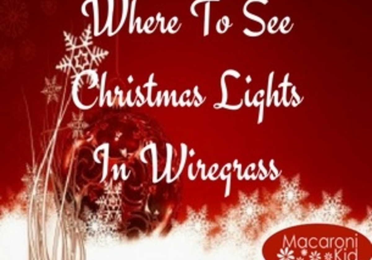 Where To See Christmas Lights Displays In The Wiregrass Area Macaroni