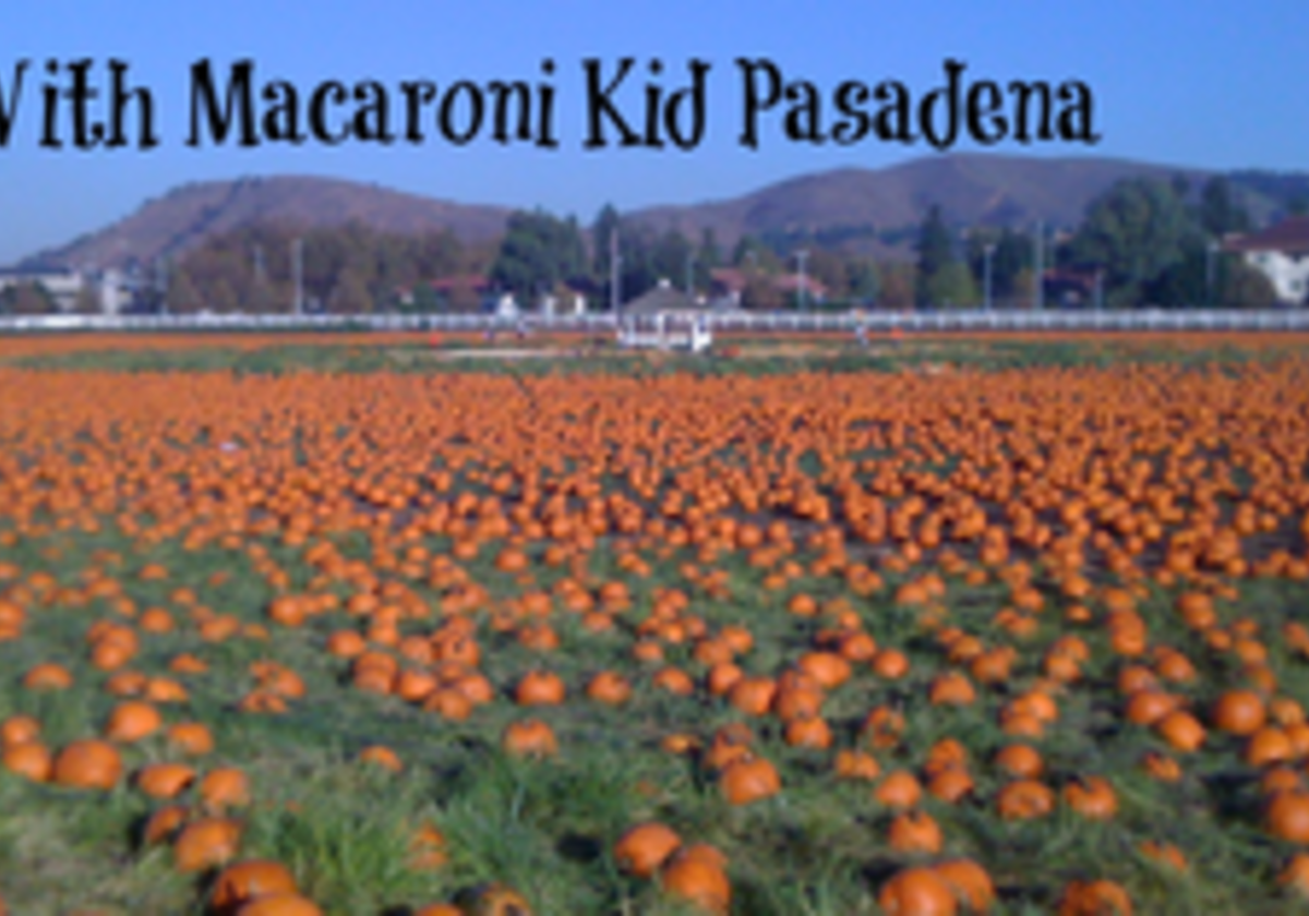Fall Festivals, Pumpkin Festivals and More! | Macaroni KID Pasadena