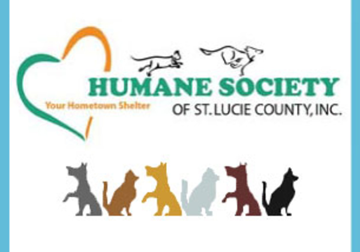 Humane Society of St. Lucie County - Pet Adoption Event! | Macaroni KID ...