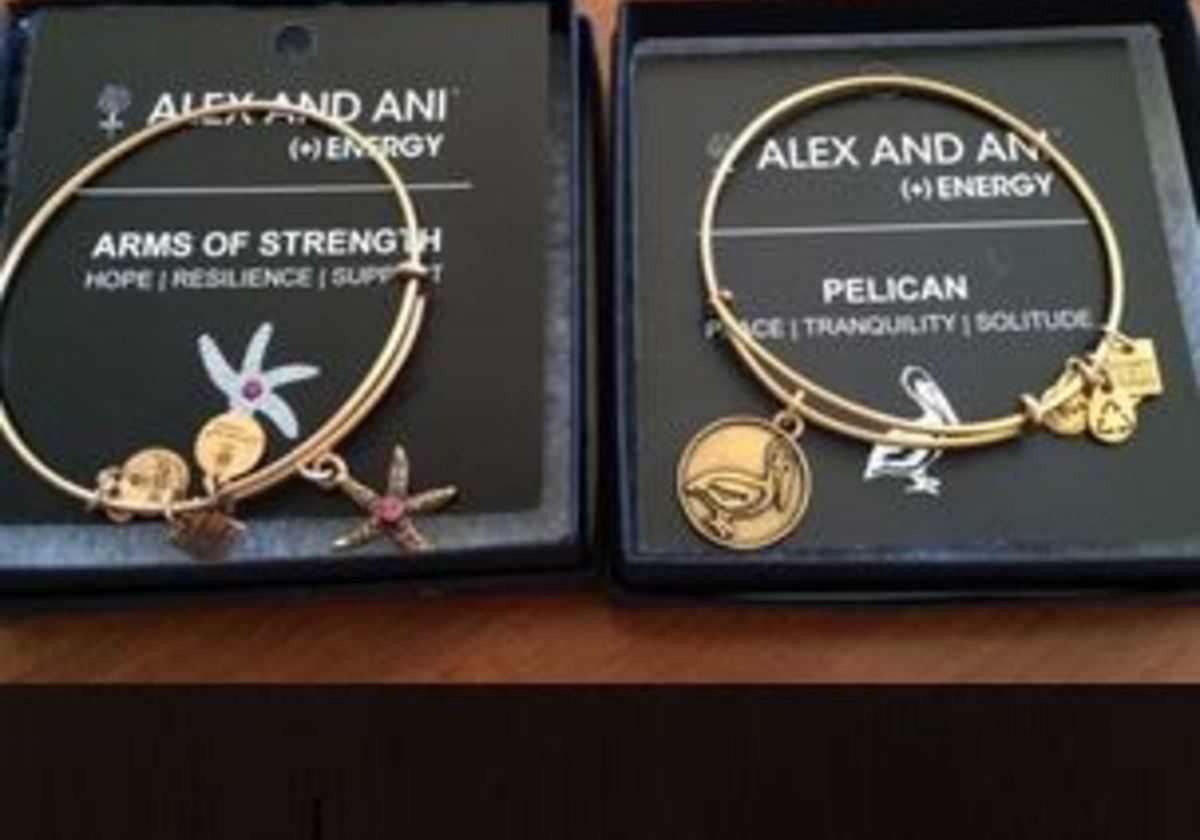 Alex and sale ani strength bracelet