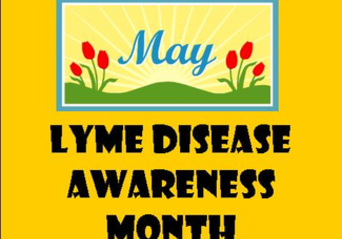 May is Lyme Disease Awareness Month Macaroni Kid Timonium North