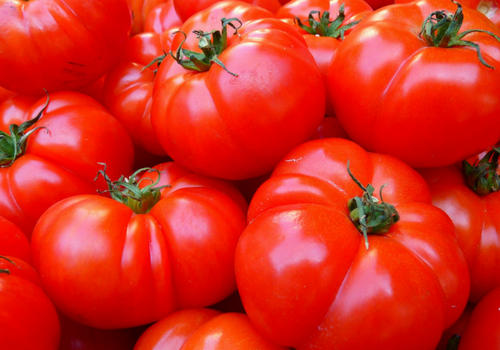 tomatoes are a brain boosting food