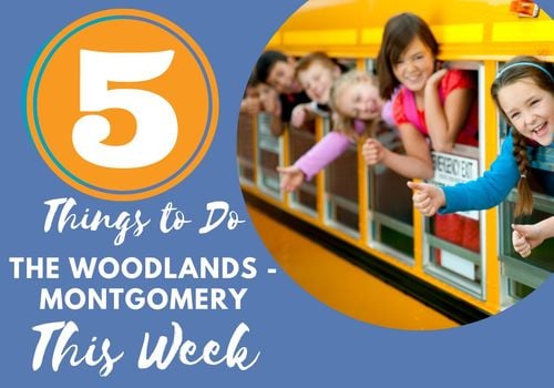 5 Things to do in the Woodlands Montgomery Texas FREE Back To School Tax Free Weekend Families Kids