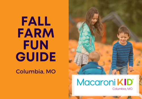 fall farm fun guide in columbia mo