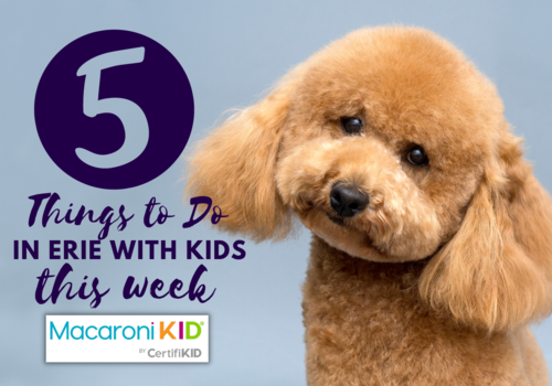 5 THINGS TO DO IN ERIE WITH KIDS THIS WEEK