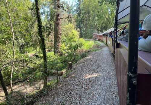 Santa Cruz Beach Train at Roaring Camp Railroads