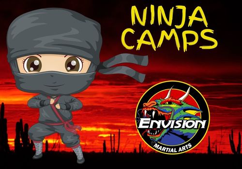 Envision Martial Arts Ninja Camps