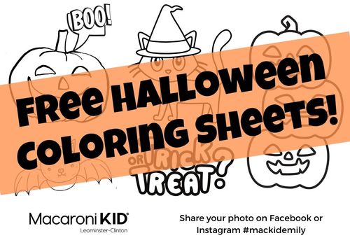 Outline images of pumpkins, cat with witch hat and text that reads Free Halloween Coloring Sheets
