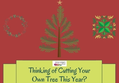 Thinking of cutting your own tree?