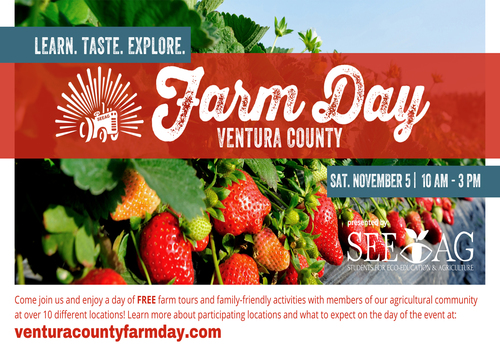 Ventura County Farm Day, Saturday, November 5 from 10 am - 3 pm, background of strawberries