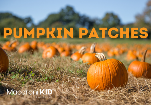 brevard pumpkin patches