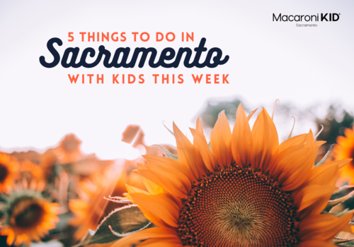5 things to do in sacramento with kids this week