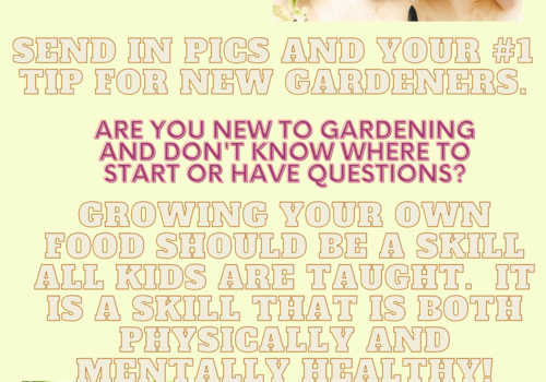 the last poster of do your garden with your kids