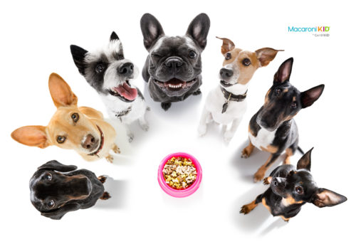 Variety of Dogs, Surrounding Dog Bowl