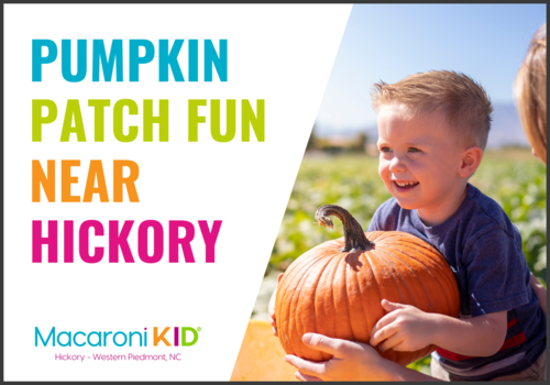 The ultimate guide to pumpkin patch FUN in hickory NC and the western Piedmont.