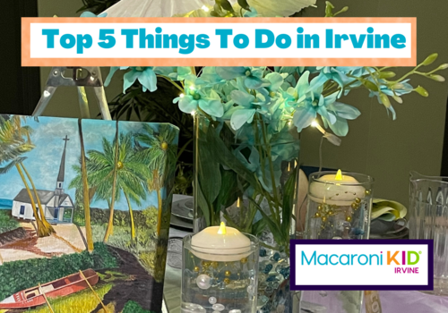 top 5 things irvine