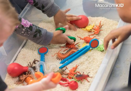 Sensory Bin Activity Ideas for Toddler and Preschoolers The Woodland TX and Montgomery TX