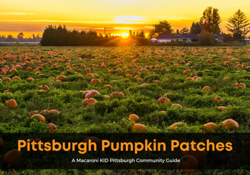 Pittsburgh Pumpkin Patches (3) 