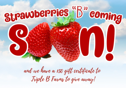 Strawberries B Coming soon to Triple B Farms and we have a $50 gift certificate to give away