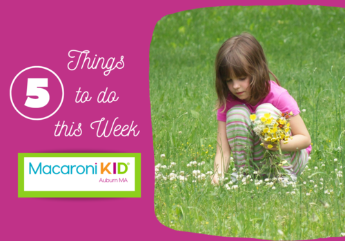 Things to Do This Week in Central MA - March Spring Flowers