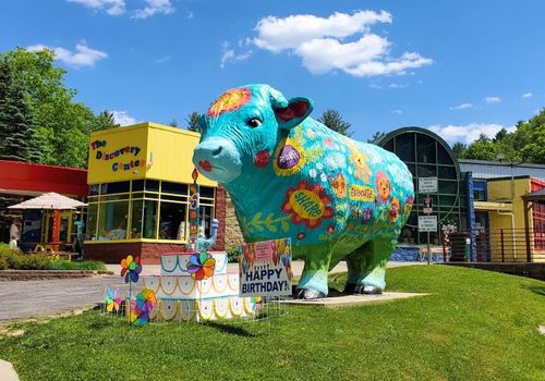 The Discovery Center of the Southern Tier Binghamton NY Children's Museum