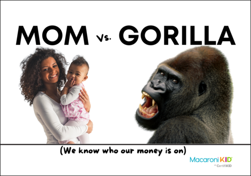 mom vs. gorilla debate