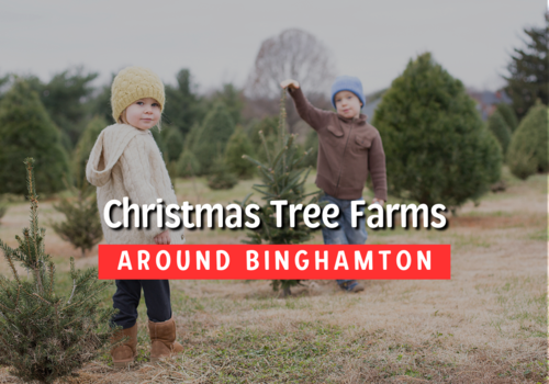 Christmas Tree Farms U-Cut and Pre-Cut Binghamton