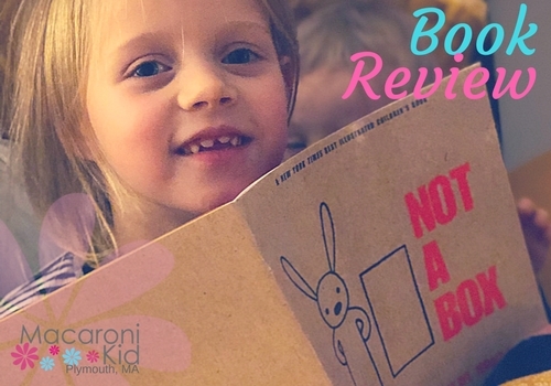 Not A Box Book Review