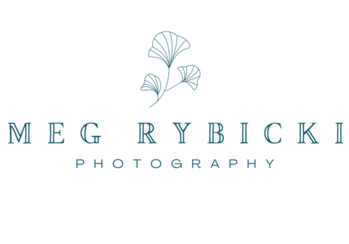 Photography, Meg Rybicki, Kids Photo Sessions, Sunflower Sessions, Santa Sessions