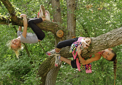 children climbing a tree at rifle falls state park