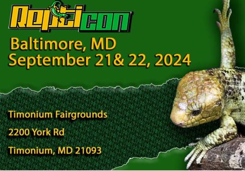 Repticon 2024