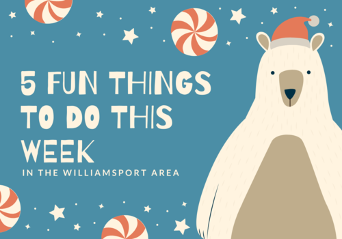 Williamsport, Library Programs, Christmas Activities, Fun Activities, Family Fun, Holidays
