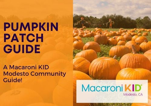 Pumpkin Patch guide