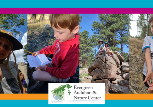Children in nature learning