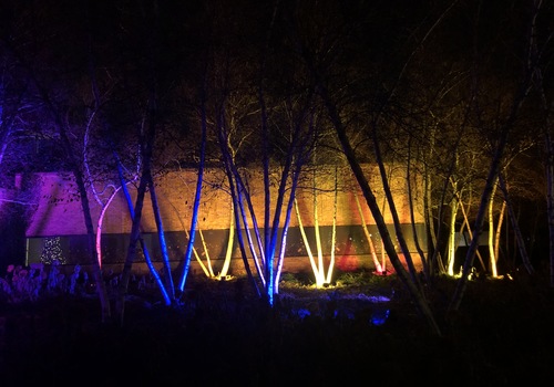 Illumination at Chicago Botanic Garden