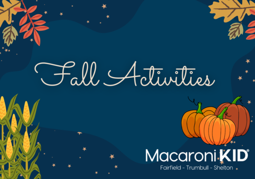Fall Activités in CT
