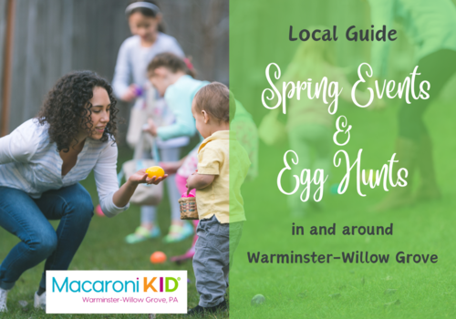 Local spring guide