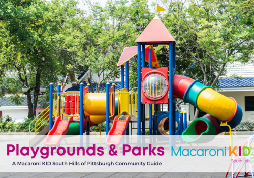 Pittsburgh Playgrounds and Parks in the South Hills of Pittsburgh  