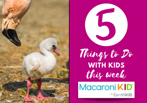Five things to do this week with kids