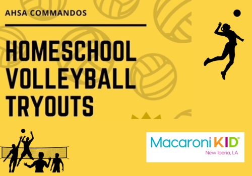 Volleyball images for homeschool volleyball league