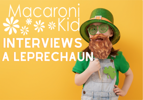 interview with a leprechaun st patricks day