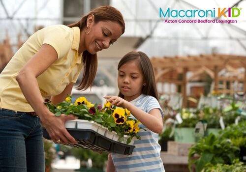 Woman and girl look at pansies at a garden center