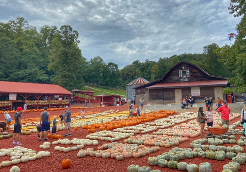 Burt’s Farm features hayrides, along with thousands of homegrown pumpkins, popcorn, Indian corn, and ornamental gourds.